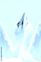 preview cold