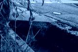 preview cold