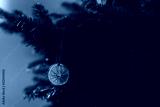 preview cold