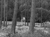 preview bw