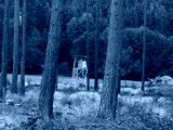 preview cold