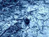 preview cold