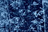 preview cold