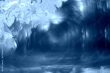 preview cold