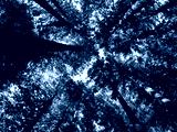 preview cold