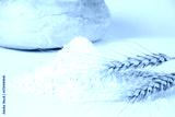 preview cold