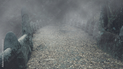 image to crop
