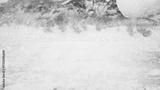 preview bw