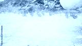 preview cold