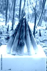 preview cold