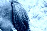 preview cold