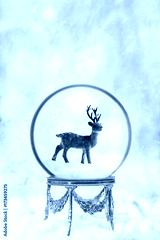 preview cold