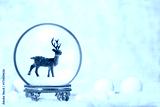 preview cold