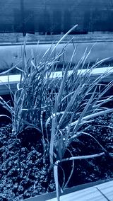 preview cold