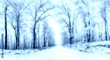 preview cold