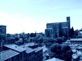preview cold
