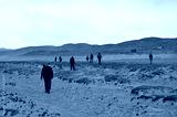 preview cold