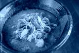 preview cold
