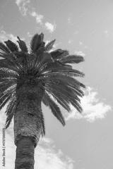 preview bw