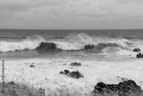 preview bw