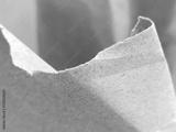 preview bw