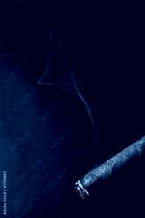 preview cold