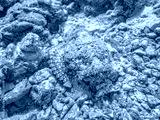 preview cold