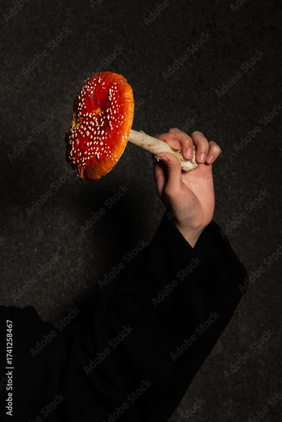 image to crop