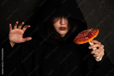 image to crop