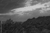preview bw
