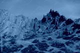 preview cold