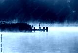 preview cold