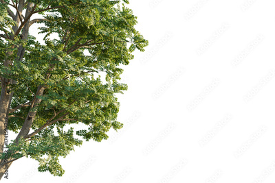 image to crop