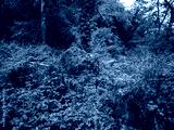preview cold