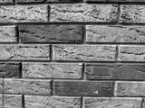 preview bw