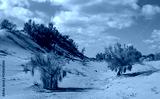 preview cold