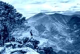 preview cold