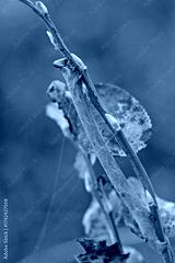 preview cold