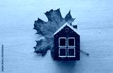 preview cold