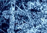 preview cold