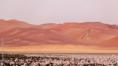 image to crop