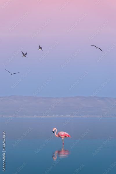 image to crop