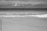 preview bw