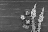 preview bw