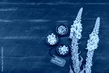 preview cold