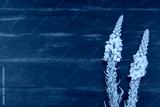 preview cold