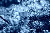 preview cold