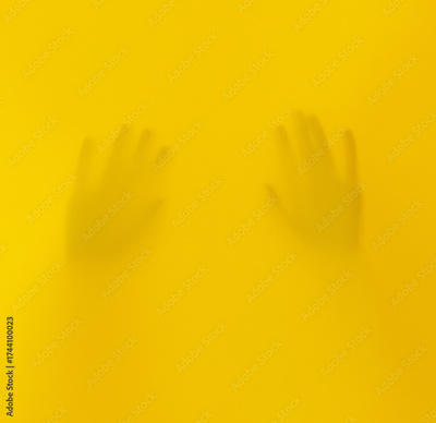 image to crop