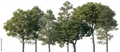 image to crop