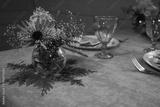 preview bw